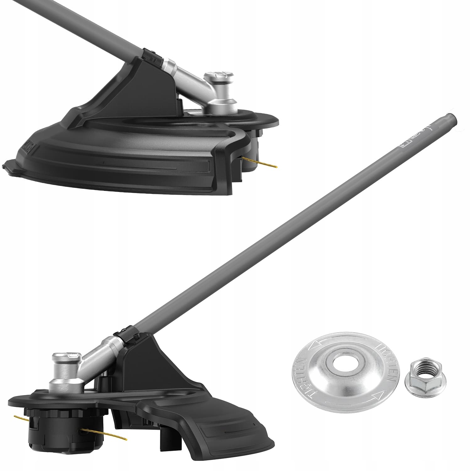 თავაკი ცელისთვის